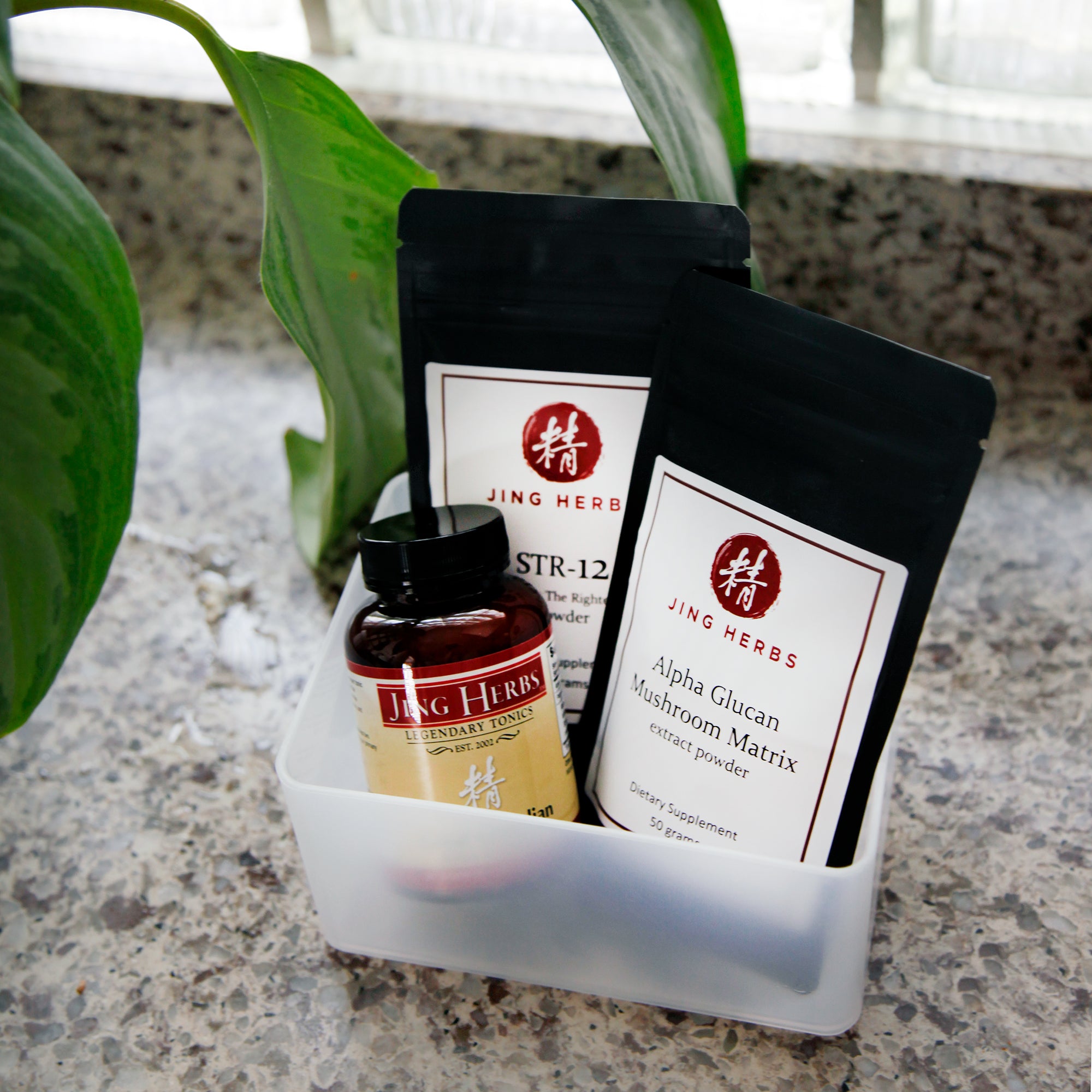 Immune Support